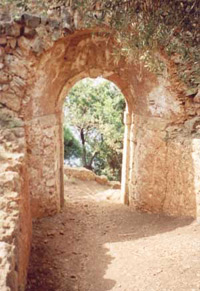 Venician architecture